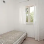 Zanetic Prizba